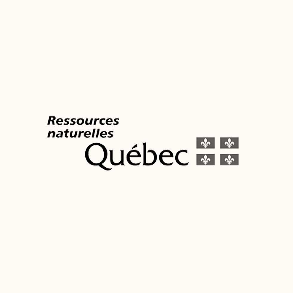 Ministère des ressources naturelles (MRN)